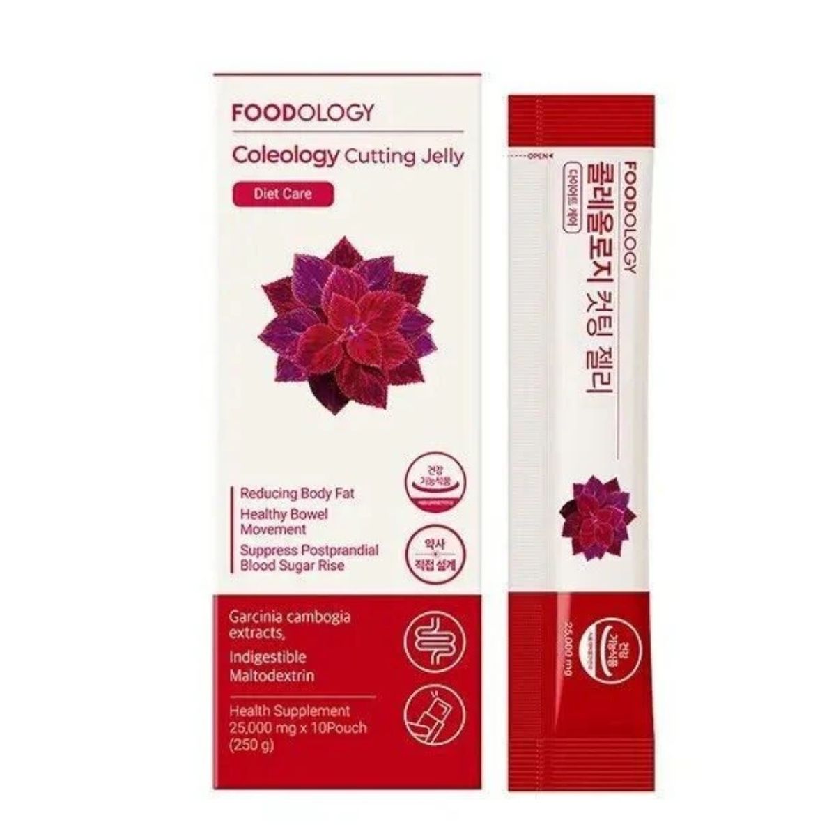 COLEOLOGY CUTTING JELLY