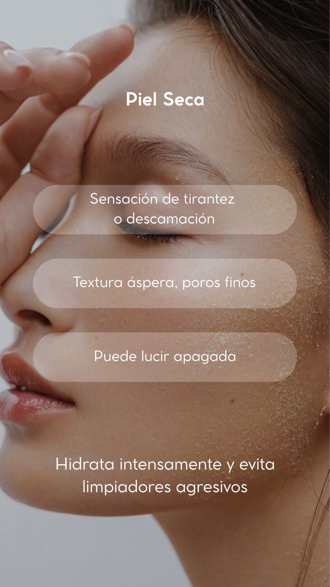 Piel seca